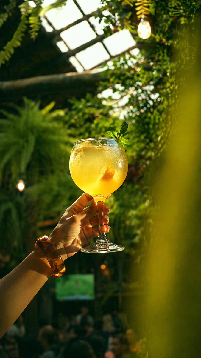 温室酒吧里的金色鸡尾酒